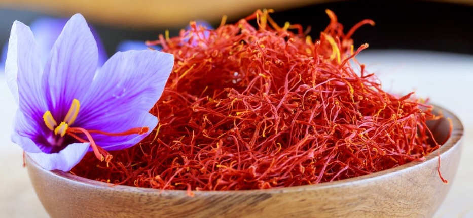 U ciniji punoj nitki zafrana lezi cvet zafrana