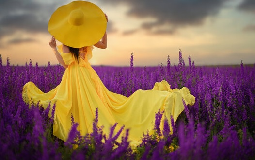 Devojka u žutoj haljini sa žutim sesirom stoji usred polja ljubicastog cveca