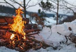 Vatra zalozena u sumi pokrivenoj snegom