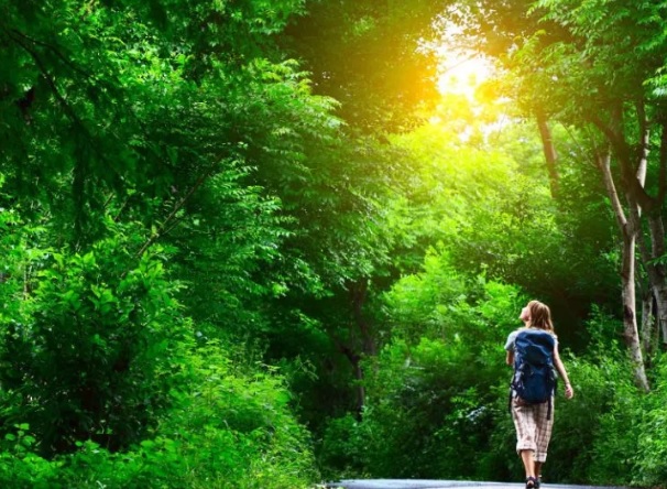 Jarko sunce i devojka sa rancem koja seta zelenom sumom